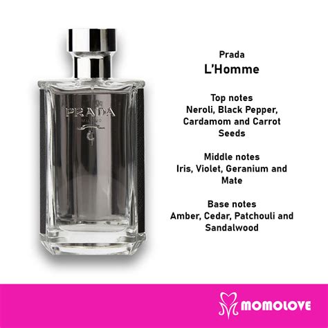 prada l'homme notes